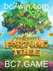 BC7.GAME política Privacidade
